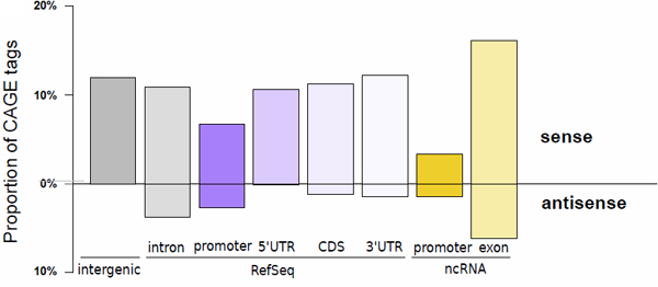 Figure showing MOE transcription start sites
