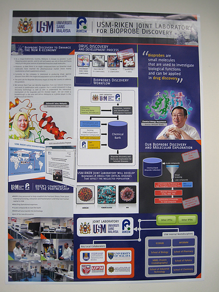 Image of the poster about the research