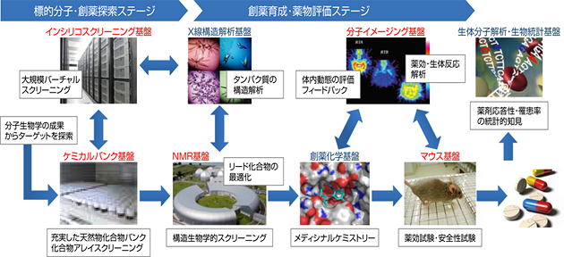 理研が確立を目指す創薬基盤プラットフォームの説明図