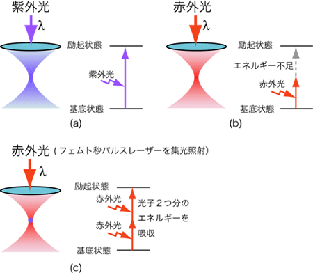 光吸収（1光子吸収と2光子吸収）の図