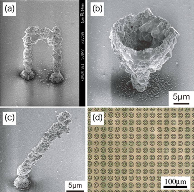 2光子還元法で作製した金属構造の図