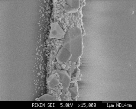 マイクロメートルサイズに成長した金属結晶の図