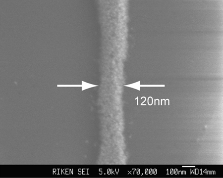 120ナノメートル銀ラインの電子顕微鏡写真の画像