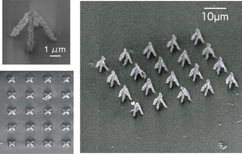 2光子還元法で作製した3次元ナノ金属構造の画像