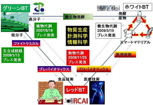 物理・化学的研究手法と次世代バイオテクノロジーの融合の図