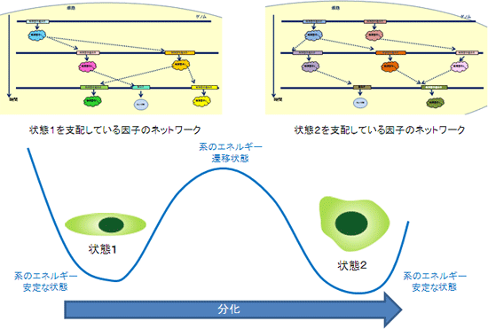 Attractor Basinの概念図の画像