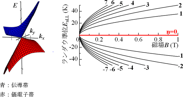 高圧下におけるα-(BEDT-TTF)2I3のゼロギャップ構造（ディラックコーン：左)とランダウ準位(右)の図