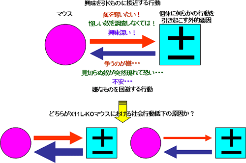 社会行動における葛藤の図