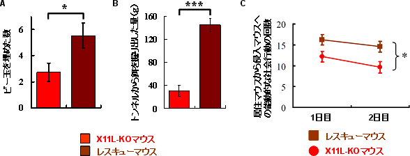 レスキューマウスの行動異常の回復の図