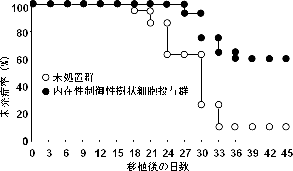 異系骨髄移植によるGVHDの発症率に対する内在性制御性樹状細胞の効果の図