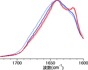 ハンチンチンエキソン1アミロイドの赤外吸収スペクトルの図