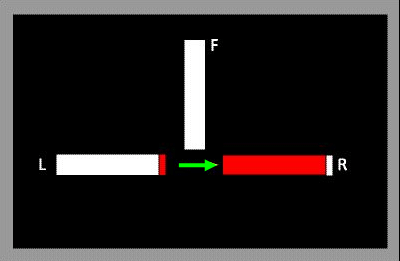 判定結果の表示例の図