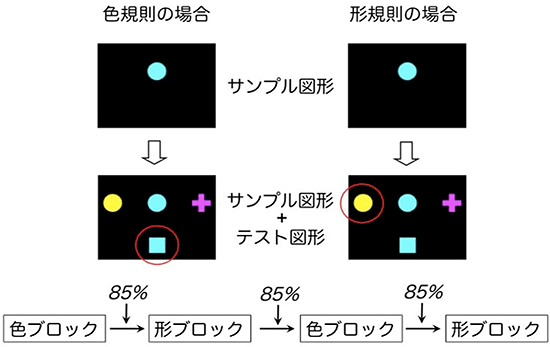 ウィスコンシンカード分類テストを単純化した動物版の図