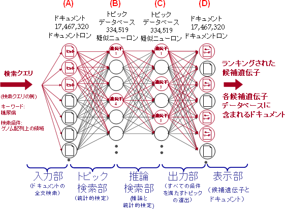 脳の神経細胞ネットワークを模倣した脳型データベースの概念モデルの図