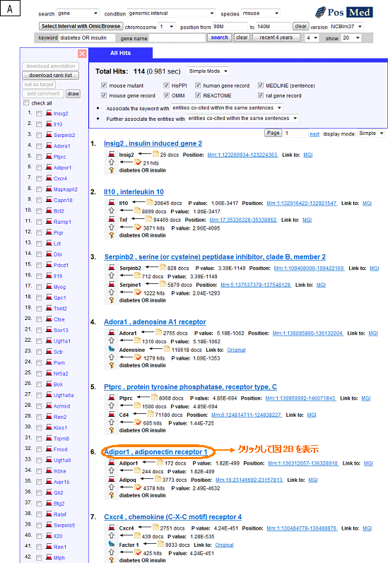 PosMedによる、マウス遺伝子の検索例1の図