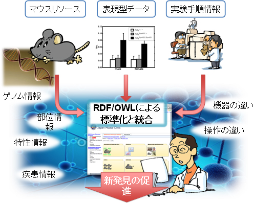 表現型データ統合の概要図