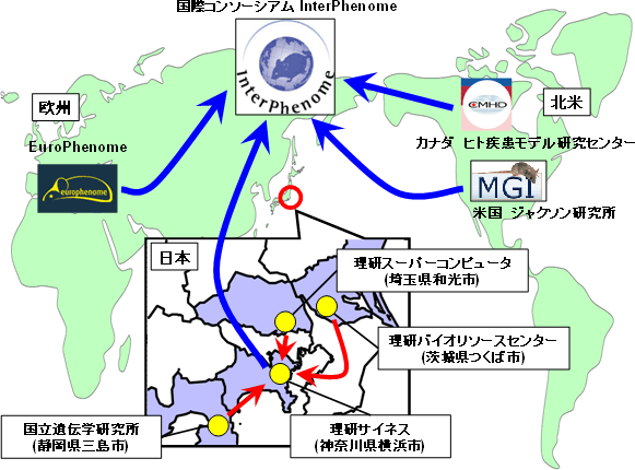 国際連携の体制図