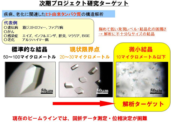 理研ターゲットタンパクビームライン(BL32XU)が目標とする解析ターゲットの図