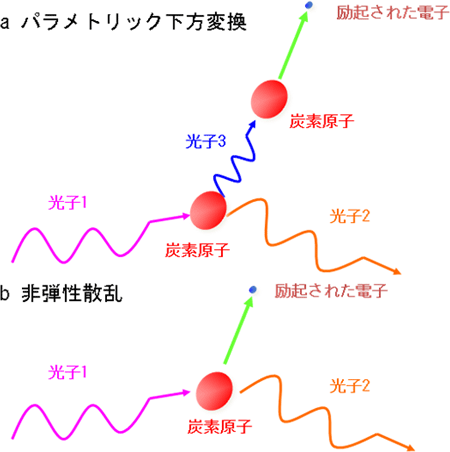 観測したＸ線非線形光学現象（パラメトリック下方変換）と非弾性散乱の模式図の画像