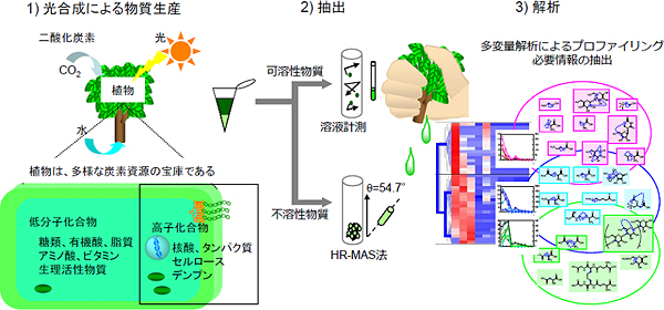 “炭素資源の宝庫”植物から資源有効利用のための抽出プロセス評価法の図