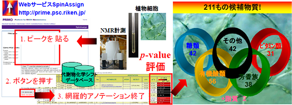 物質資源が大量に含まれている種々の主要代謝産物の情報取得法の図