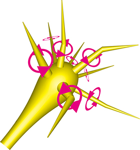 糸状仮足の回転を示した模式図の画像