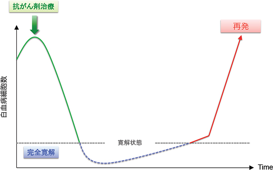 急性骨髄性白血病の臨床経過の図