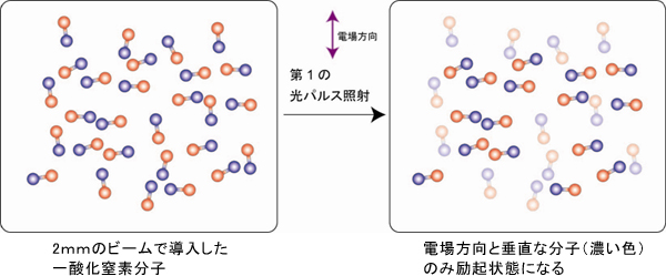 第1のレーザー光パルスによるNO分子の回転運動状態の選択の図