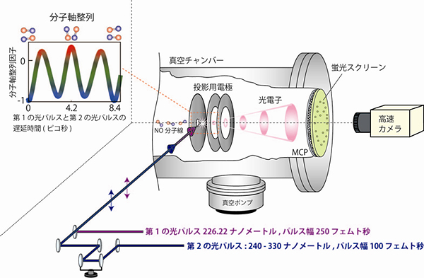 実験装置の概略図の画像