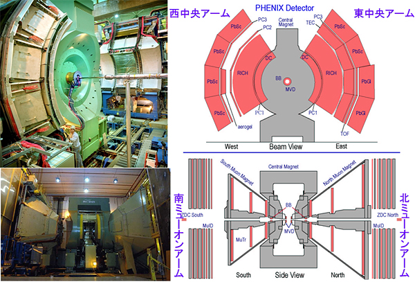 PHENIX実験に用いる装置（BNL提供）の図