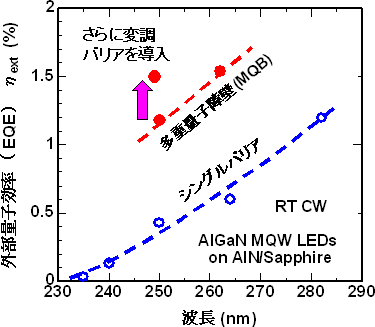 AlGaN量子井戸LEDの外部量子効率の波長依存性の図