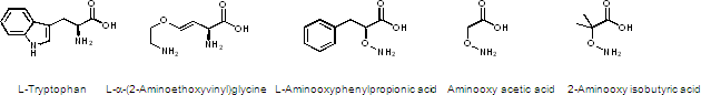 同定した化合物の構造の図