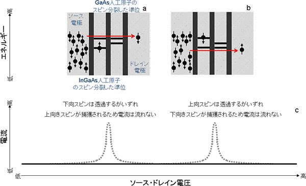 磁場を加えた場合の素子のエネルギー図と電流・電圧特性の模式図の画像