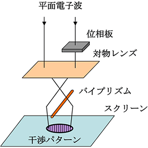 電子線干渉法を用いた実験の概略図の画像