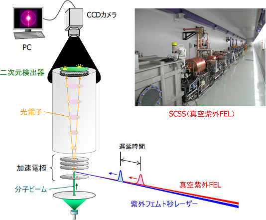真空紫外FELと紫外フェムト秒レーザーとを同期させた、時間分解光電子イメージング実験の装置模式図と、SCSS試験加速機の写真の画像