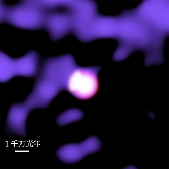 Abell 1689銀河団の高温ガスの温度マップ（ピンク）と周辺の大規模構造（紫）の図
