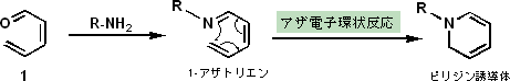 高速6Π-アザ電子環状反応の図