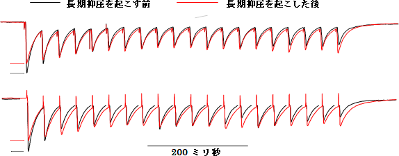 長期抑圧後に連続入力に対するシナプス減弱が無くなり反応が安定化する例の図