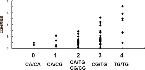 CCR6多型の遺伝子型別のCCR6発現量の図
