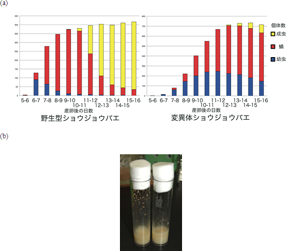 ショウジョウバエPngl変異体の表現型の図