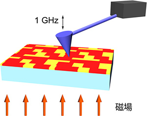 走査型マイクロ波インピーダンス顕微鏡の概念図の画像