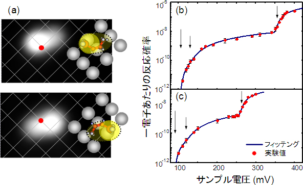 Pd(110)表面上のcis-2-ブテン分子の回転運動のアクションスペクトルの図