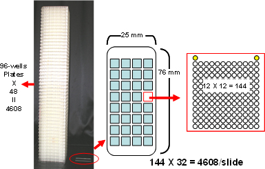 96穴プレートと化合物アレイの図
