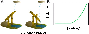 雨の中の鹿おどしの図