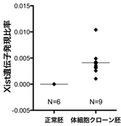 体細胞クローン胚におけるXist遺伝子の発現レベル（雄胚の例）の図