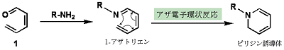 高速6π-アザ電子環状反応の図