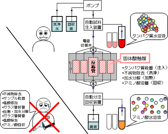 タンパク質を注入するだけでアミノ酸として回収可能な全自動加水分解装置の図