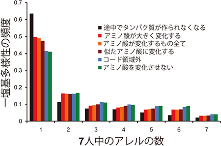 7人（今回の1人と先行研究6人）のゲノムでの一塩基多様性のアレル数の分布の図