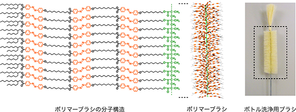 ポリマーブラシの分子構造（左）とその模式図（中央）、ボトル洗浄用のブラシ（右）の図