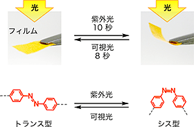 フィルムの光による変形（上）とアゾベンゼンの光異性化に伴う構造変化（下）の図